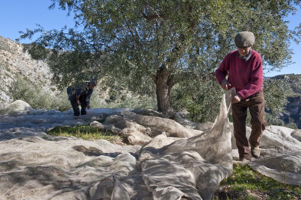 Las Chimeneas Mairena Εξωτερικό φωτογραφία